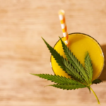 How Long Does THC Stay in Your System?