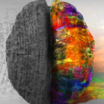 How Trauma Rewires the Brain and What Helps