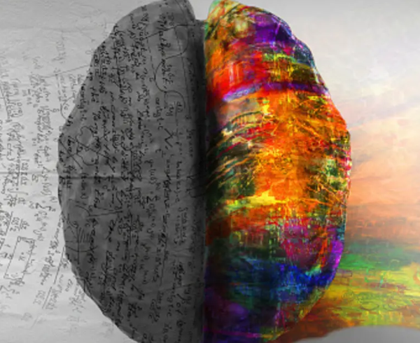 How Trauma Rewires the Brain and What Helps