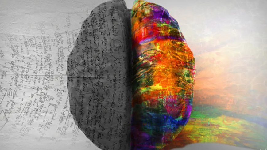 How Trauma Rewires the Brain and What Helps