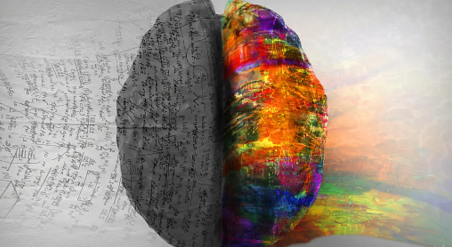 How Trauma Rewires the Brain and What Helps