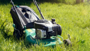 Top 8 Lawn Problems Britons Ignore